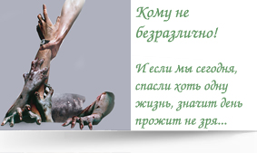 ������ �������������� � ������ ������� ���������� ������ �����